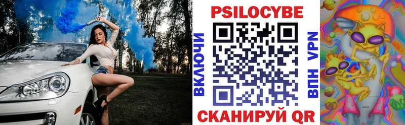 Галлюциногенные грибы MAGIC MUSHROOMS  что такое наркотик  Рудня 