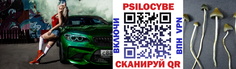 Галлюциногенные грибы Psilocybe Рудня