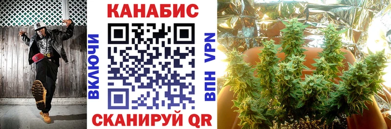 omg Рудня Конопля SATIVA & INDICA